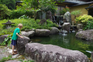 Koi Pond at our Ryokan